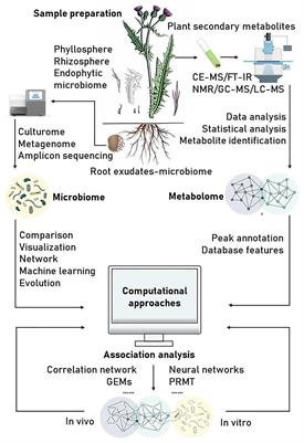 Linking Plant Secondary Metabolites and Plant Microbiomes: A Review